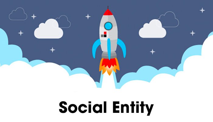 social-entity-la-gi